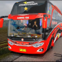 icon Indonesia Bus Simulator : Bus Livery Master(Simulator Bus Indonesia : Livery Bus Master
)