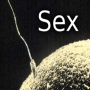 icon Sex History(Riwayat Seks
)
