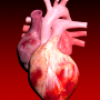 icon Circulatory System 3D Anatomy (Sistem Peredaran Darah Anatomi 3D Ilustrasi)
