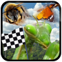 icon Insect Race (Ras Serangga)