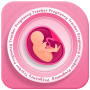 icon Pregnancy(Pelacak Kehamilan minggu demi minggu Pengunduh Video
)