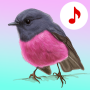 icon Bird Songs: Ringtones (Bird Songs: Ringtones
)