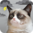 icon Grumpy Weather(Cat Pemarah Cuaca) 5.8.6