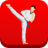 icon Taekwondo Workout(Latihan Taekwondo Di Rumah
) 1.08