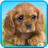 icon Talking Puppy(Berbicara anak anjing) 1.480.0.614
