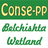 icon Conse-pp Belchishta Wetland(Conse-pp Belchishta Wetland
) 0.0.1