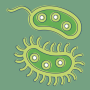 icon Bacteria(Bakteri: Jenis, Infeksi)