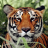 icon Tiger Wallpapers(Wallpaper Tiger) 3.0.1