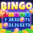 icon Bingo Night(Bingo Malam: Permainan Keberuntungan
) 1.0.1