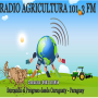 icon Radio Agricultura Fm(Radio Pertanian Curuguaty -)