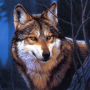 icon Wolf Jigsaw Puzzles(Serigala Jigsaw Puzzle)