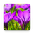 icon Beautiful Spring Flowers Live Wallpaper(Bunga Musim Semi Yang Indah) 1.0.8