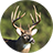 icon Whitetail Deer Calls 5.1.0