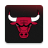 icon Chicago Bulls(banteng Chicago) 4.0.17