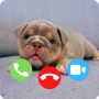 icon Dog Fake Call Prank Video Game(Anjing Panggilan Palsu Prank Video Game)