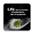 icon Lesson in Life(Kutipan Hidup: Kutipan Pelajaran Hidup
) 1.3.3
