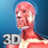 icon Muscle Anatomy(Anatomi Otot Saya) 3.1