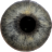 icon Eye Diagnosis(Diagnosis Mata) 1.4.3
