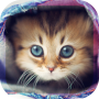 icon jp.eikomz.catplay(Game Simulasi Kucing 3D)