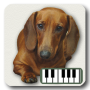 icon Piano of dogs(Piano Anjing)