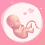 icon Pregnancy(Pelacak Kehamilan Panduan Bayi
)