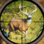 icon Jungle Hunting(Wild Animal Hunting Games Gun
)