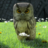 icon The Magical Typewriter(Mesin Ketik Ajaib) 1.41.7