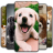icon Puppy Wallpaper(Wallpaper Anak Anjing Emoji) 3.0.4