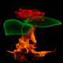 icon Fiery Rose Magic LWP