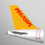 icon Pegasus(Pegasus: Tiket Pesawat Murah)