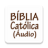 icon com.biblia_catolica_audio_portugues.biblia_catolica_audio_portugues(Lihat sumber) 310.0.0