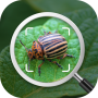 icon Insect identification: Bug identifier - Bug finder (Identifikasi serangga: Pengidentifikasi bug - Pencari bug
)