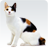 icon Animal sounds(Suara binatang) 2.18