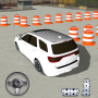 icon Car Driving(Advance Auto Prado Car Driving)