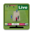icon Cricket Live Tv(Olahraga Tv Langsung Kriket
) 4.1.0