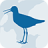 icon Wadvogels(Mengarungi burung) 2.0