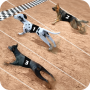 icon Dog Racing Simulator(Racing Dog Simulator: Game Balap Anjing Gila
)