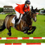 icon Horse Jumping Show 3D()