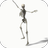 icon Dancing Skeleton Video LWP(Tema Video Kerangka Menari) 4.0