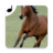 icon Horse sounds(Suara Kuda. tetangga yang cantik) 1.14