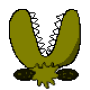 icon Creeper Plants (Tanaman Creeper)