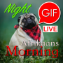 icon GIF Afrikaans Morning & Night(Afrikaans Pagi Malam Gifs
)
