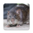 icon Bandicoot Rat Sounds(Tikus Bandicoot: Suara, Panggilan SMC SmartQ:) 3.5.0