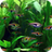 icon Aquarium 3D(Keren Akuarium Wallpaper Animasi 3D) 6.0