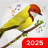 icon Birds Ringtones(Pendek Suara Burung Nada) 2.0.39