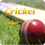 icon net.appozuri.crickvideoplayer(Crick Player - Tonton Video HD Cricket
)