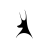 icon AFC Telford United(AFC Telford United - Aplikasi
) 2.0.43