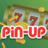 icon com.online.pinupfortune(Pin Up Фортуна
) 0.1