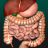 icon Internal Organs 3D Anatomy(Organ Internal dalam 3D Anatomy) 3.4