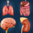 icon Organs Anatomy(Anatomi Organ Saya) 2.1